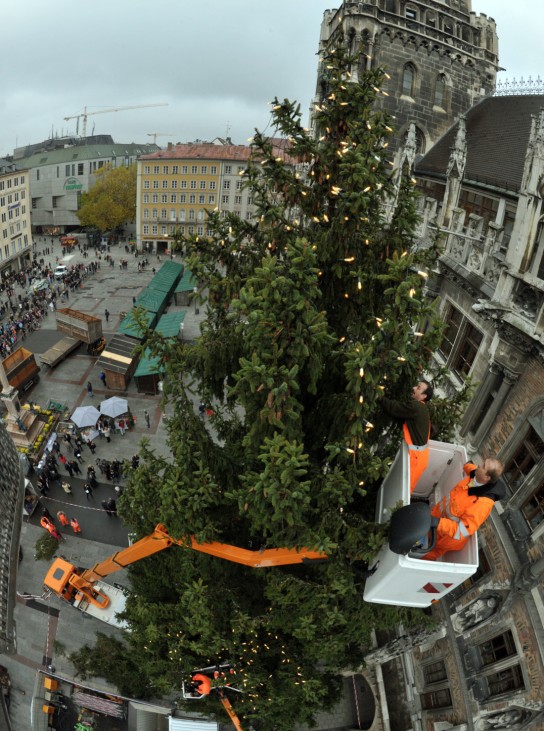 Weihnachtsbaum in München