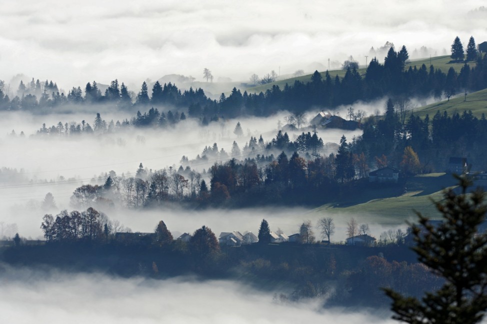 Bregenzer Wald liegt im Nebel