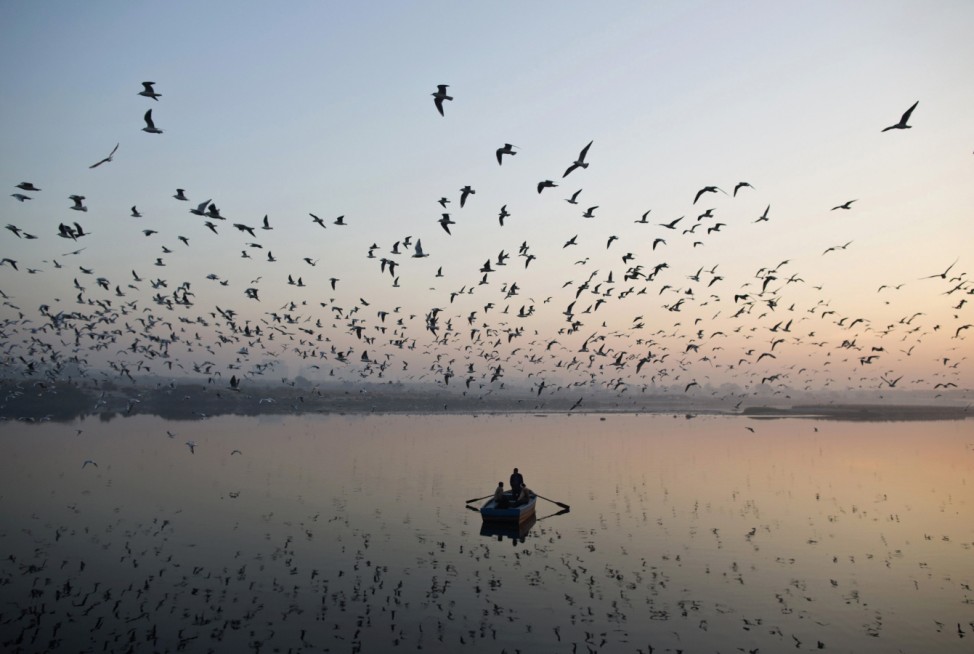 Migratory birds fly above men rowing a boat on the Yamuna river in the old quarters of Delhi