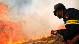 Waldbrände in Griechenland: Aussichtsloses Unterfangen: Feuerwehr, Armee und Freiwillige kämpfen gegen die Flammen.