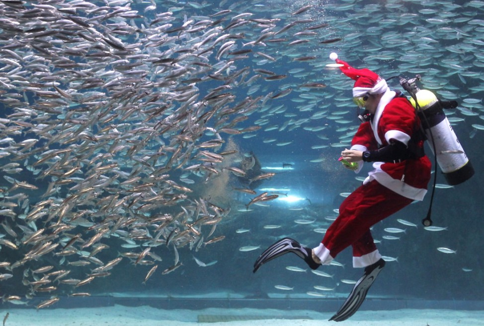 ***BESTPIX***Santa Claus Diver Performs In Seoul