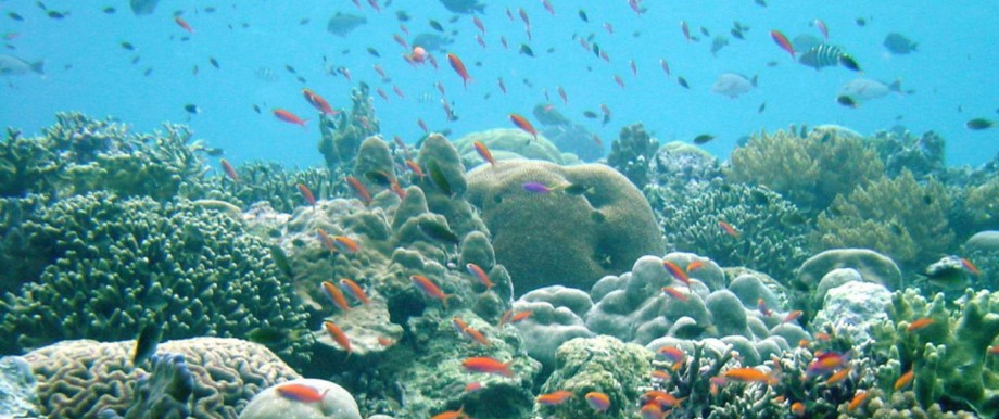 Undated file photo of a marine protected area in Papua New Guinea