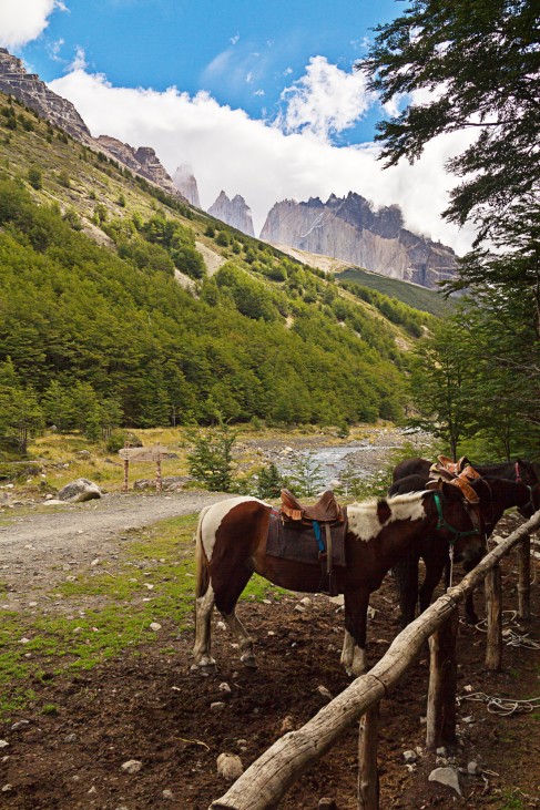Torres del Paine Nationalpark Chile Wandern Wanderung Trekking