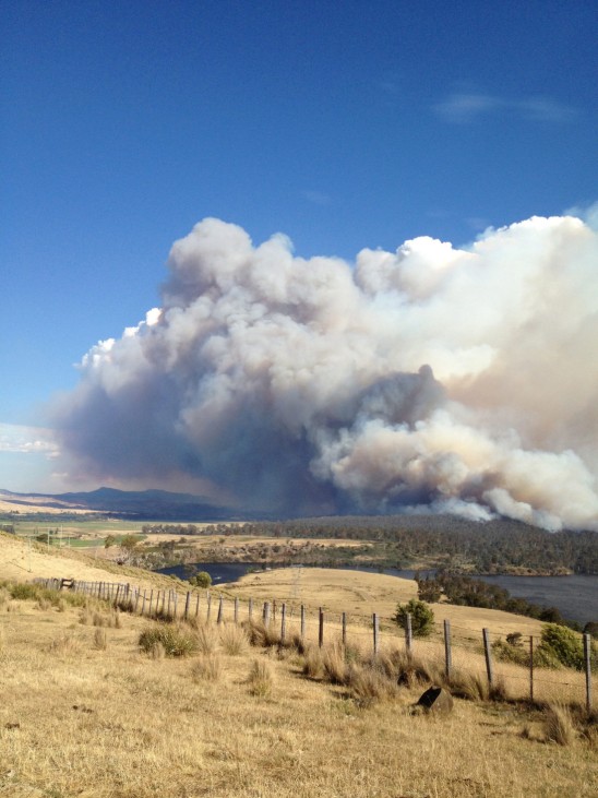 Heatwave causes bushfires