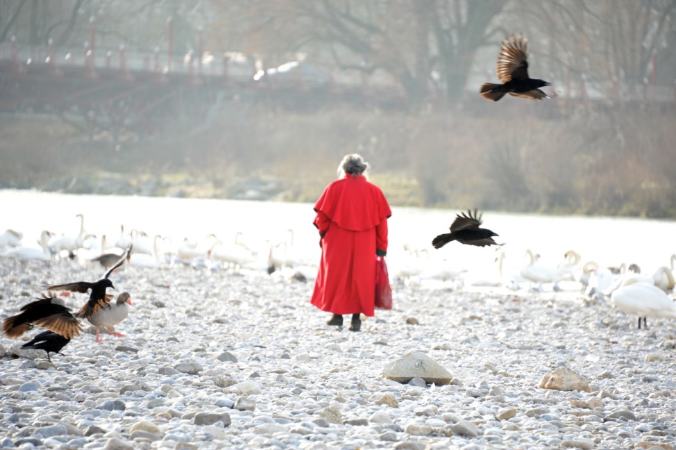 Frau mit Wasservögeln am Flaucher in München, 2013