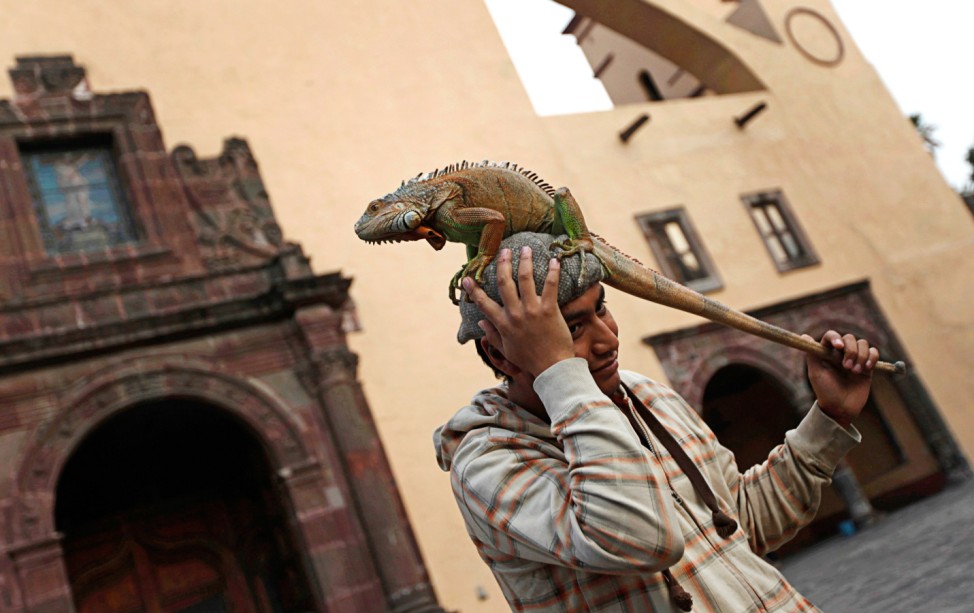 A man holds on to his iguana, perched on his cap, before receiving blessings by a priest in a church in Xochimilco