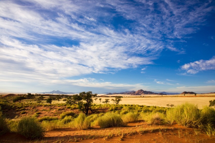 Wüste in Namibia