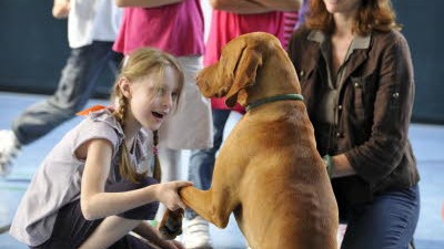 Kinder und Hunde: In der Grundschule an der Fritz-Lutz-Strasse können Kinder in einem speziellen Training lernen, sich im Umgang mit Hunden richtig zu verhalten.
