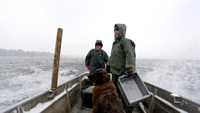 Münsing: Rudolf Müller und seine Tochter Susanne Huber fahren auch im Winter hinaus. Hund Lea liebt die eisigen "Ausflüge" mit dem Fischerboot.