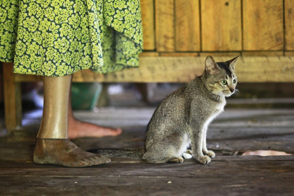 A cat sits by Htwe who lost her leg in a land mine blast in 2010 at Zawti village in Kyaukki township