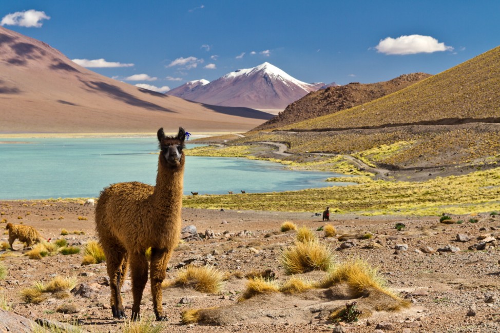 Chile Norden Atacama Altiplano San Pedro Laguna Salzsee Uyuni Bolivien