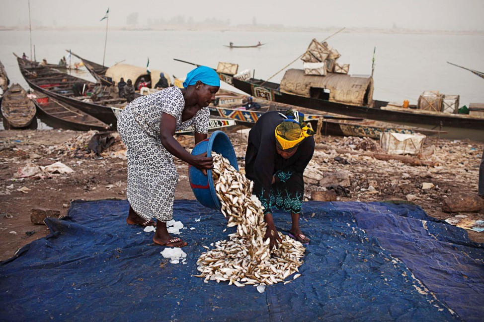 Women sort fish caught in the Timbuktu region at a port in Mopti