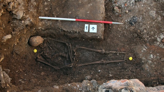 The skeleton of Richard III  lies in a trench at the Grey Friars excavation site in Leicester, central England