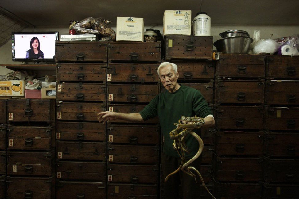 Snake shop owner Mak Tai-kong, 84, holds snakes which were caught in mainland China, in front of wooden cabinets containing snakes, at his snake soup store in Hong Kong