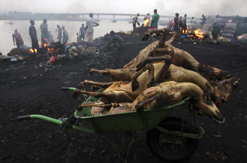 Roasted goat meats are placed in a wheelbarrow at the Swali slaughter site in Yenagoa, the capital city of Nigeria's oil state of Bayelsa in the Delta region