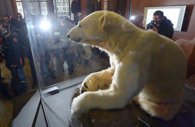 Plastik von Eisbär Knut