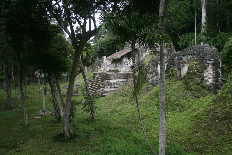 Nasenbären und Maya-Ruinen - Im Dschungel von Tikal in Guatemala
