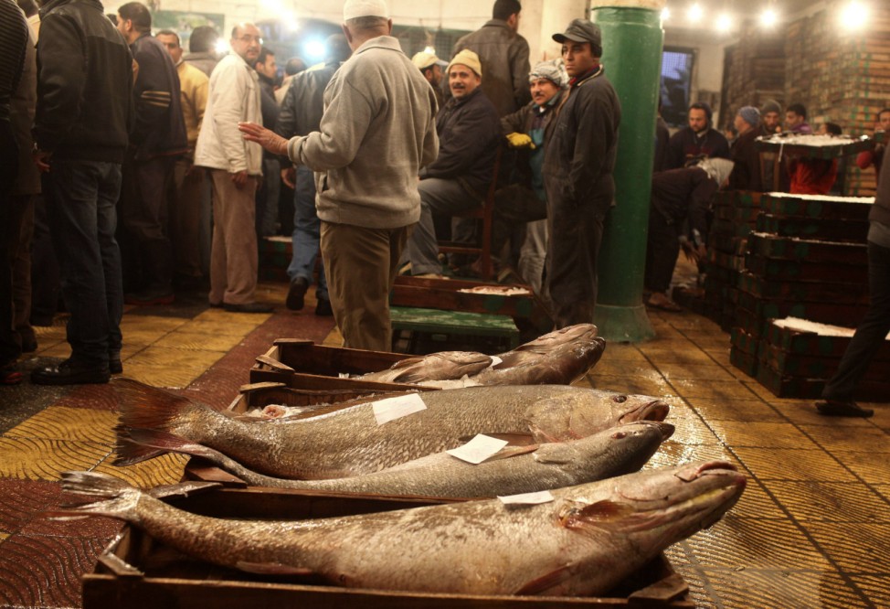 Locals look at fishes in crates at the main fish market in Alexandria