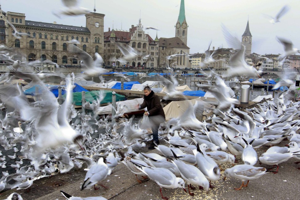 A woman feeds birds on the banks of the Limmat river in Zurich