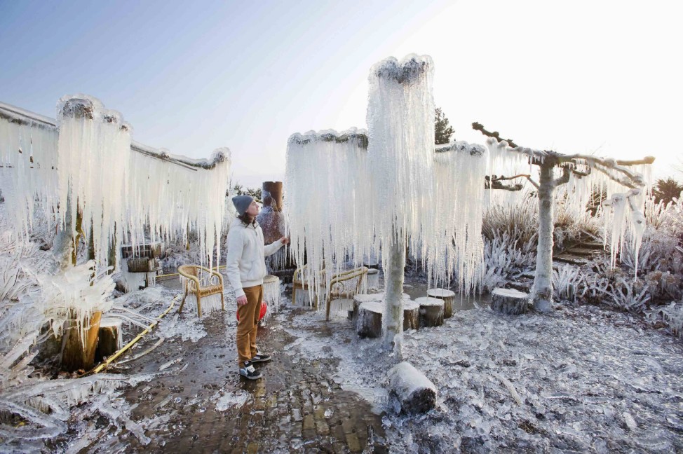 Thijs Glas admires icicles on frozen branches in the private area of the nursery garden in Heerhugowaard