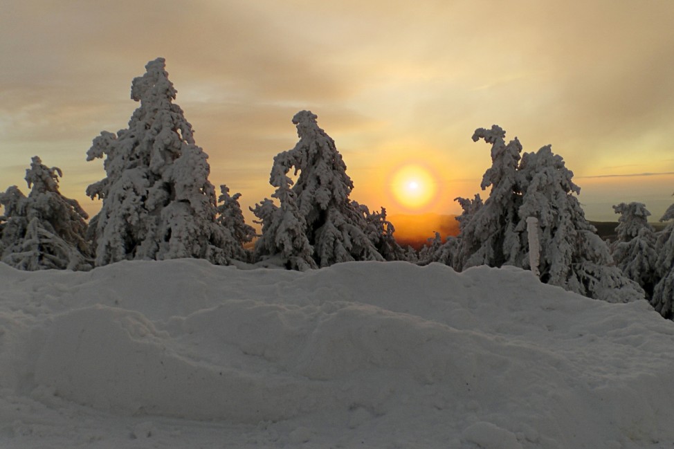 Winterlicher Sonnenaufgang im Harz