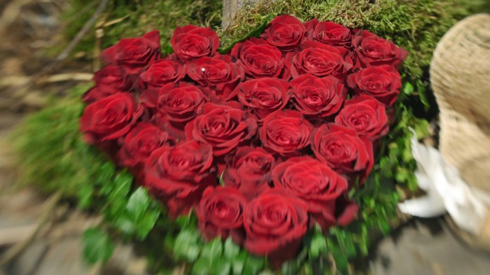 Skurriler Heiratsantrag: Ein Herz aus roten Rosen war nichts für einen Physiker aus Australien. Er machte seiner Freundin einen unkonventionellen Heiratsantrag.