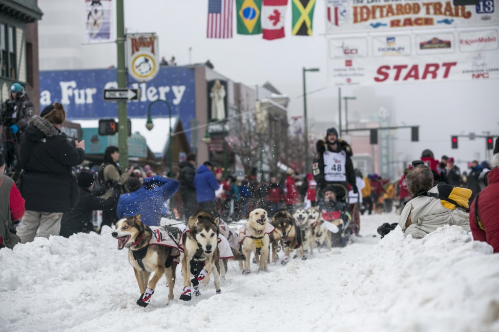 Moore's team charges out of the starting gate on 4th Avenue during the ceremonial start to the Iditarod dog sled race in downtown Anchorage, Alaska