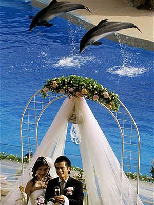 Heiraten auf Chinesisch, Hochzeit, China; AP