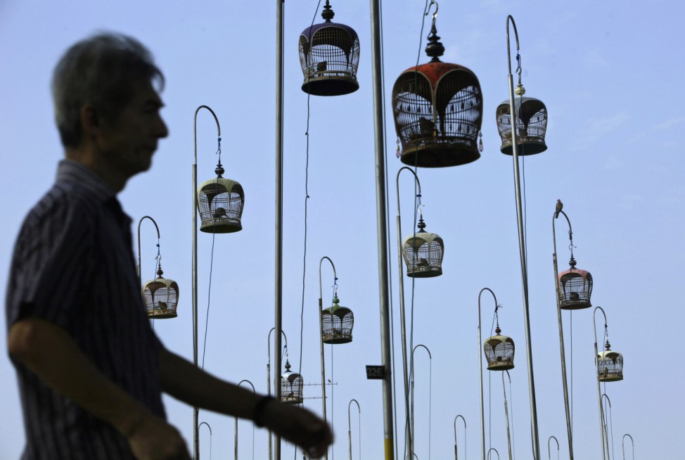 A man walks past cages of birds hung up at a bird singing corner in Singapore