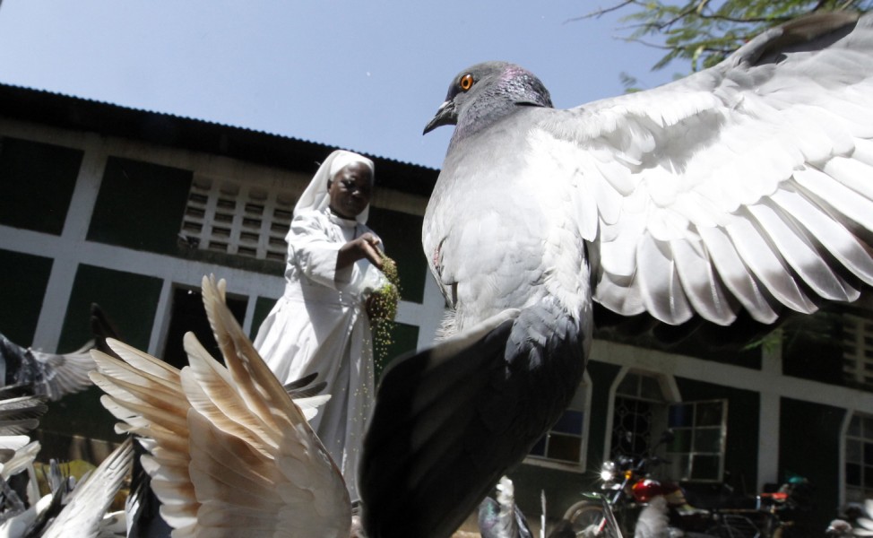 A member of the faithful feeds pigeons at the St. Peter's Legio Maria Manyatta church in the western town of Kisumu