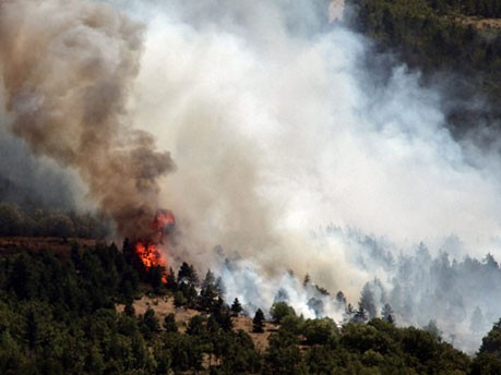 Waldbrände in Südeuropa