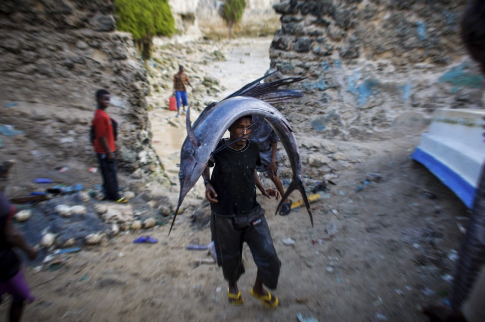A Somali man carries a large sailfish on his head as he transports it to Mogadishu's fish market in the Xamar Weyne district of the Somali capital