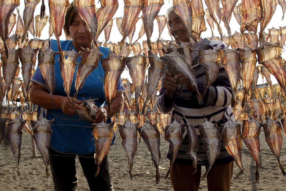 Residents collect dried fish, to be sold at the market, outside their homes in Coronel town