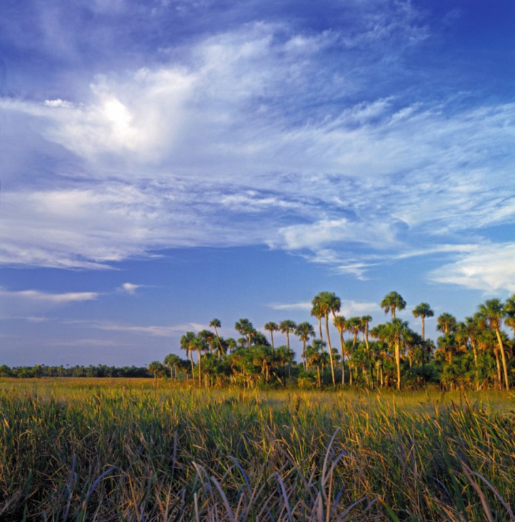 Tour zu trockenen Tümpeln: Floridas Everglades als Öko-Klassenzimmer