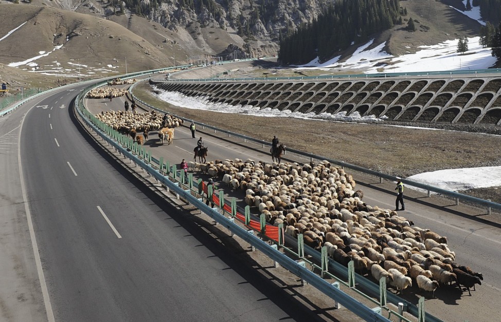 Shepherds lead their flock of sheep and cattle along on the Guozigou segment of the Lianyungang-Horgos expressway