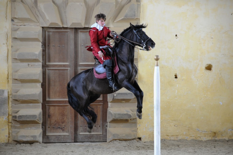 Dancing Horses Return To Former Royal Horsemaster William Cavendish's Home At Bolsover Castle