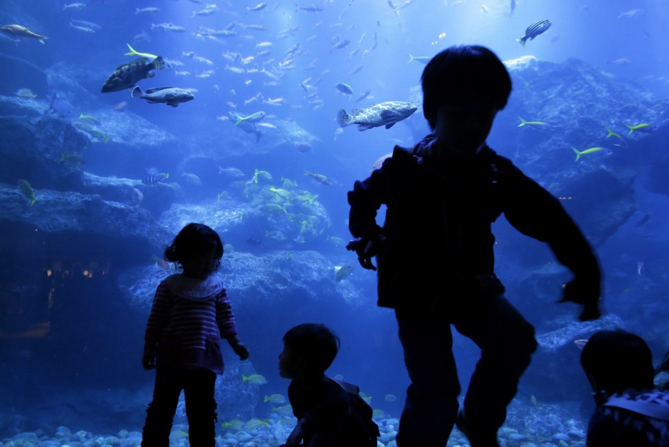 A visit to an aquarium in Tokyo