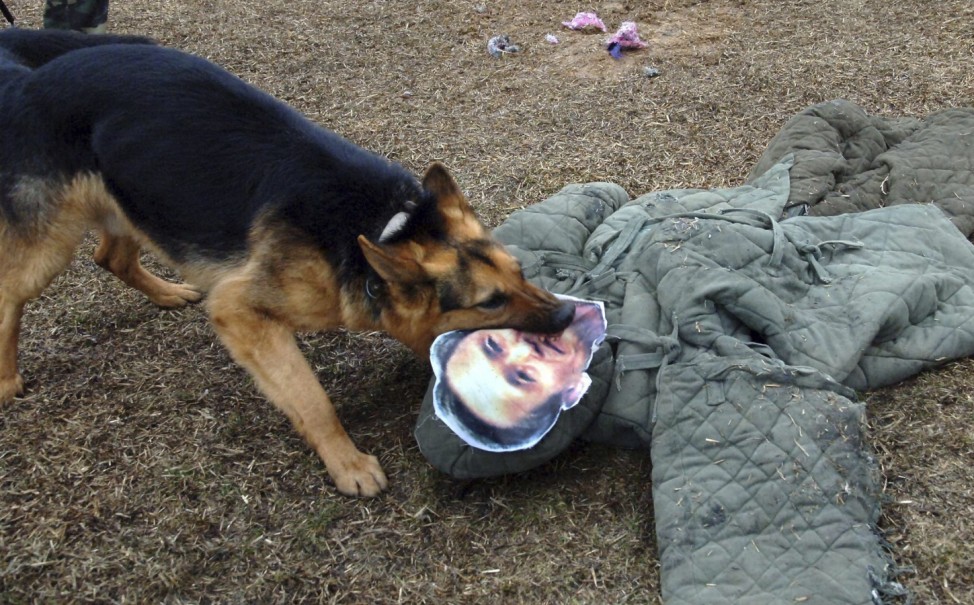 A North Korean military dog bites a dummy of South Korean Defence Minister Kim Kwan-jin during a military drill in an unknown location