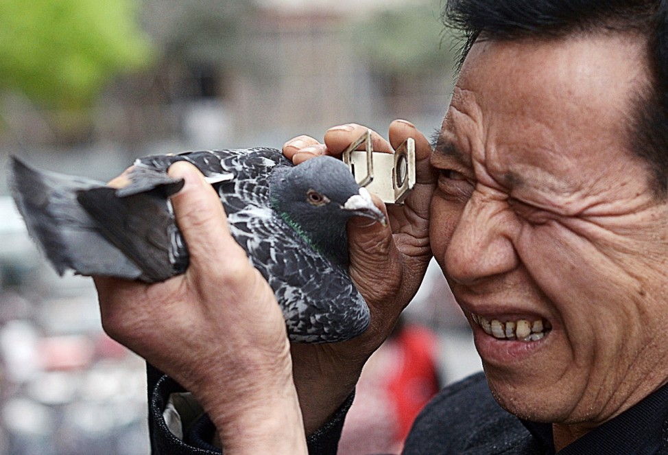A customer examines a pigeon with a magnifier at a pigeon market in Chongqing