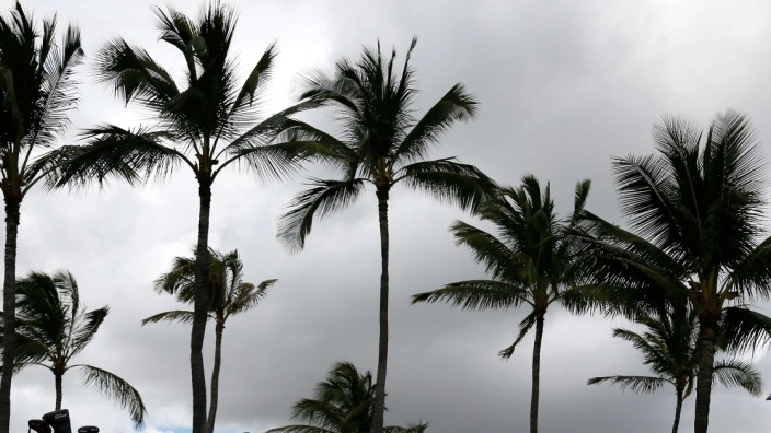 Die Zahl der Stürme wird aufgrund des Klimawandels auf Hawaii zunehmen.