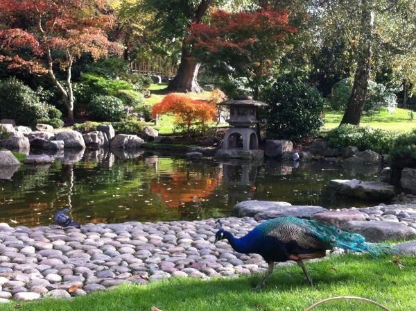 Spotted by Locals London Kyoto Garden Städtereise Städtetipps Reisetipps
