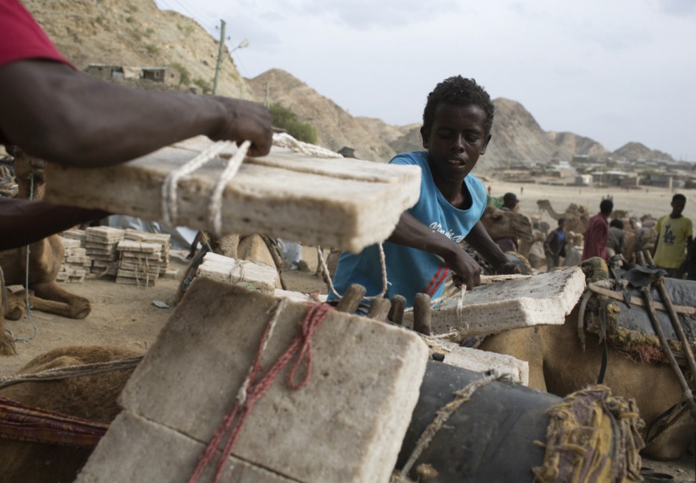 Workers unload slabs of salt from camels in the town of Berahile in Afar, northern Ethiopia