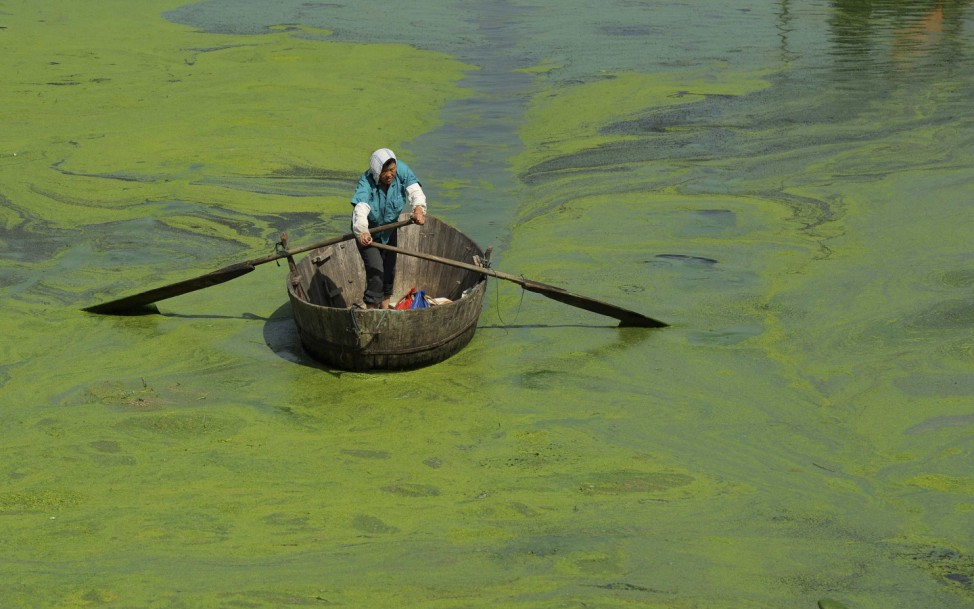 A fisherman rows a boat in Chaohu Lake, filled with blue-green algae, in Hefei