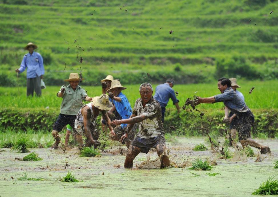People throw mud onto each other at a crop field during Hucang Festival at Zhangjiajie