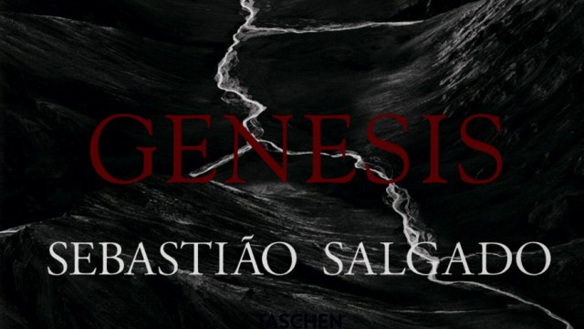 Bildband "Genesis" von Sebastião Salgado: Sebastião Salgado, Genesis, Lélia Wanick Salgado, Hardcover mit 17 ausfaltbaren Seiten, 24,3 x 35,5 cm, 520 Seiten, Taschen, 49,99 Euro.