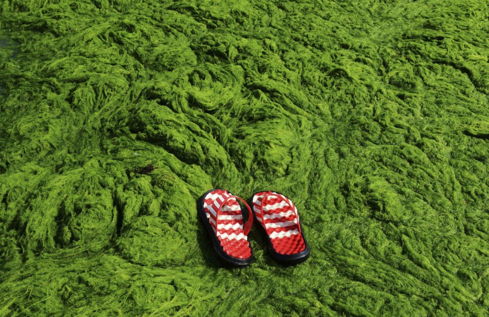 A pair of slippers is seen at an algae-filled coastline in Qingdao