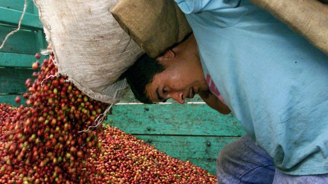 Lastwagen in Guatemala wird mit Kaffee beladen
