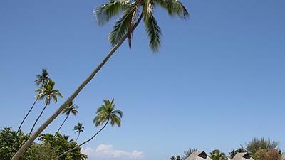 Französisch-Polynesien: Tahiti: Sonne, Strand und ein Haus auf dem Wasser - auf Moorea schlägt das Urlauberherz höher.