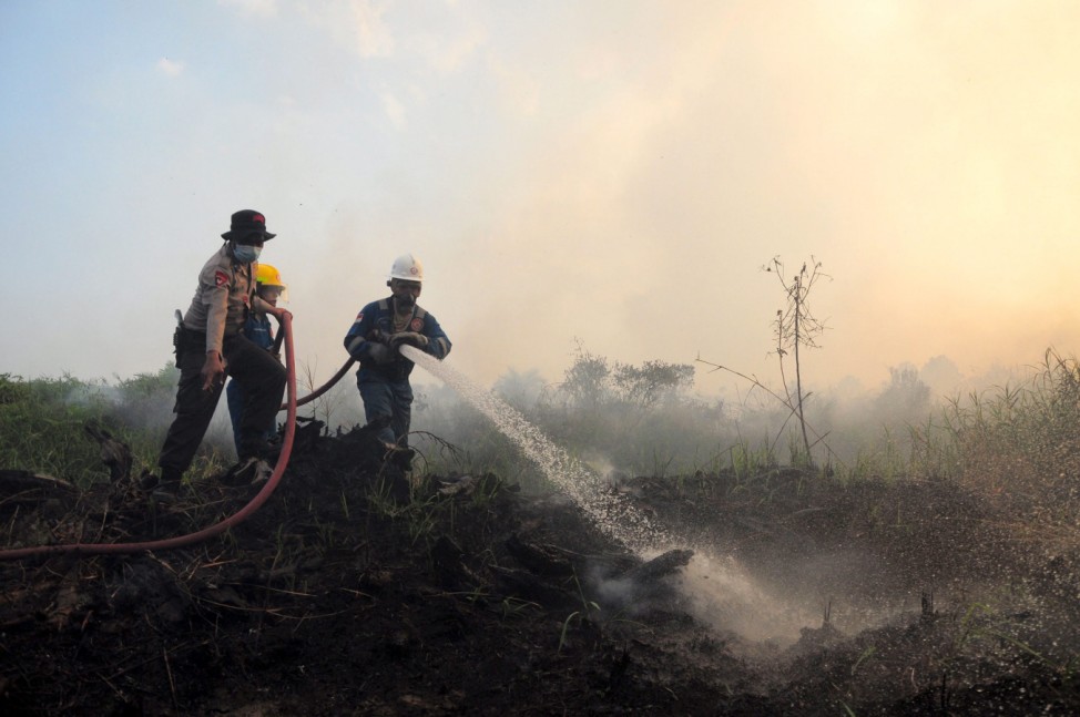 Land fire in Riau