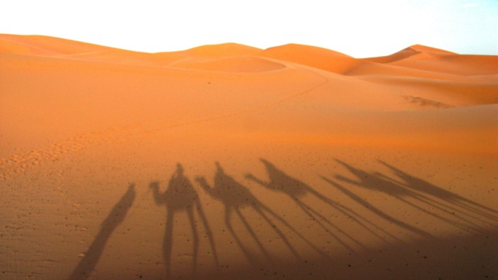 Ein Meer aus Sand: Mit dem Kamel durch Marokkos Sahara